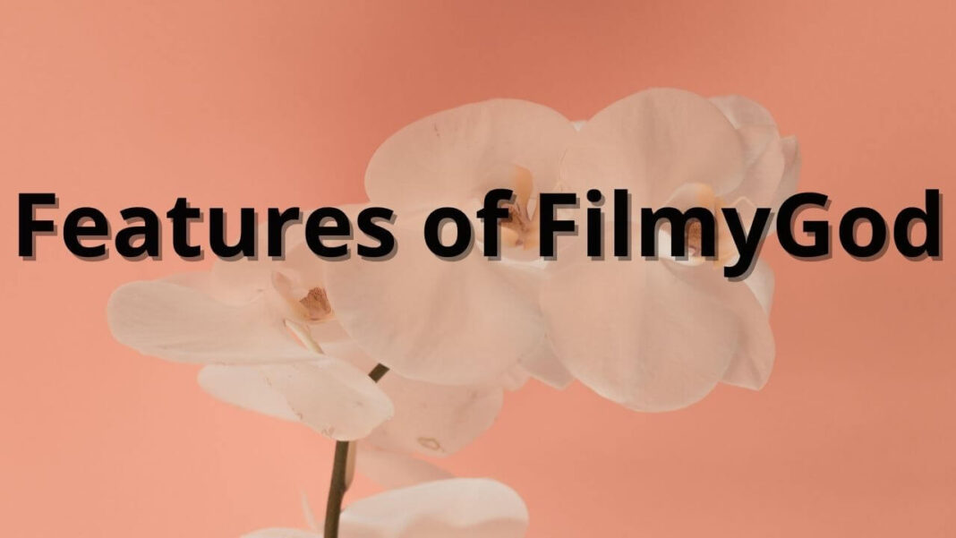 Features of FilmyGod