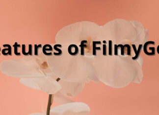 Features of FilmyGod