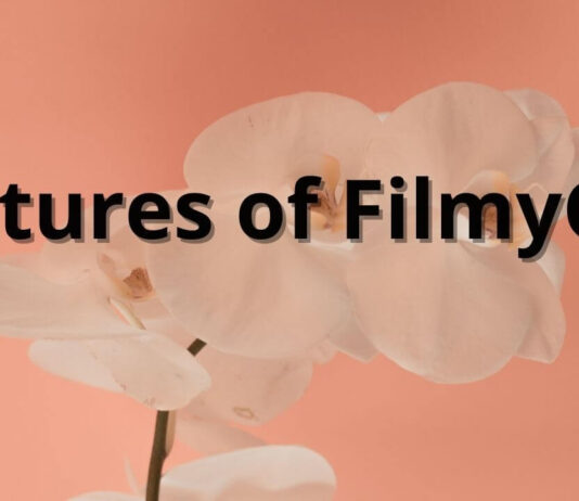 Features of FilmyGod