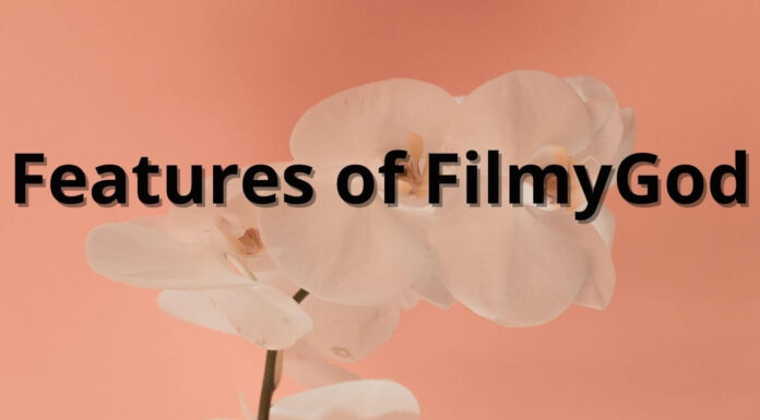 Features of FilmyGod