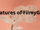 Features of FilmyGod