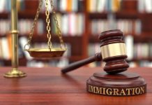 Immigration Lawyer