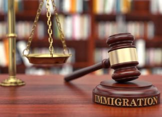 Immigration Lawyer