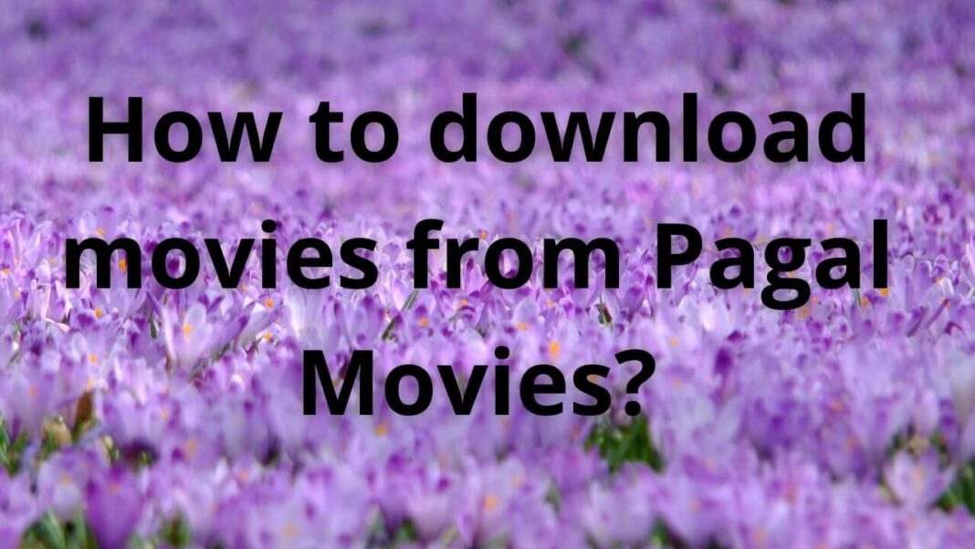 pagalmovies download