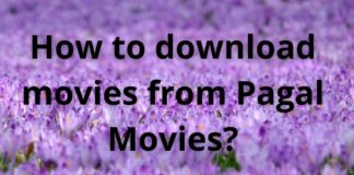 pagalmovies download