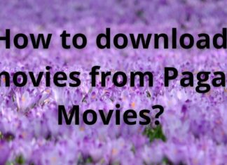 pagalmovies download