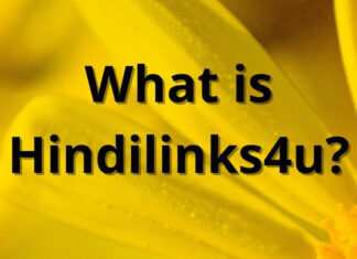 What is Hindilinks4u