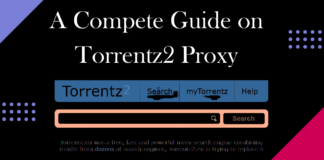 A Compete Guide on Torrentz2 Proxy