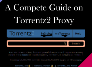 A Compete Guide on Torrentz2 Proxy