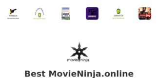 Best movieninja